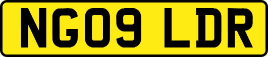 NG09LDR