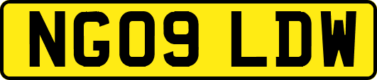 NG09LDW