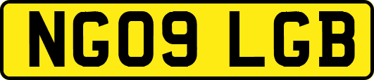 NG09LGB