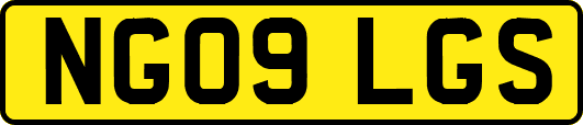 NG09LGS