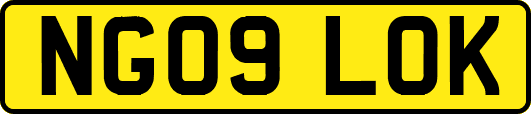 NG09LOK