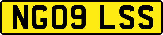 NG09LSS