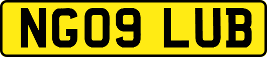 NG09LUB