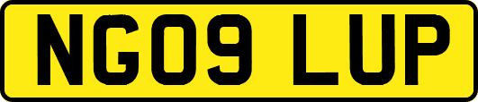 NG09LUP