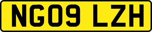 NG09LZH