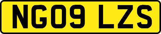 NG09LZS