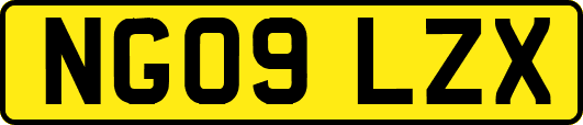 NG09LZX