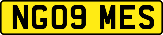 NG09MES