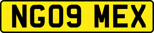 NG09MEX