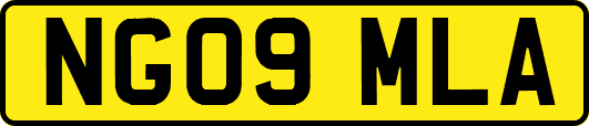 NG09MLA