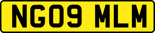 NG09MLM