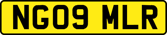 NG09MLR