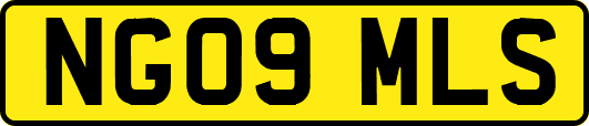 NG09MLS