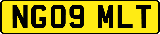 NG09MLT