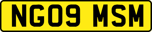 NG09MSM