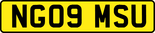 NG09MSU