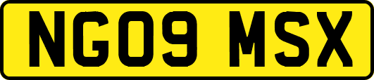 NG09MSX