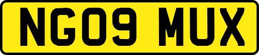 NG09MUX