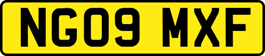 NG09MXF