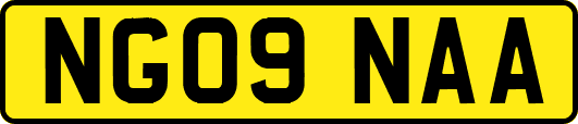 NG09NAA