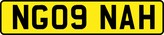 NG09NAH