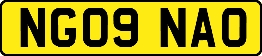 NG09NAO