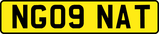 NG09NAT