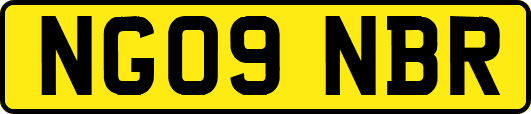 NG09NBR