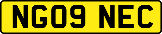 NG09NEC