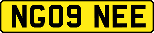 NG09NEE