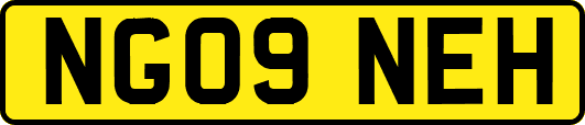 NG09NEH