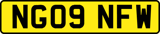 NG09NFW