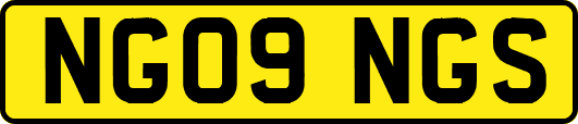 NG09NGS
