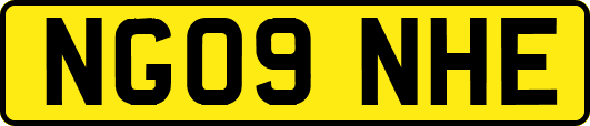 NG09NHE