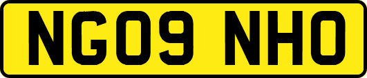 NG09NHO