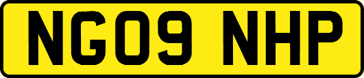 NG09NHP