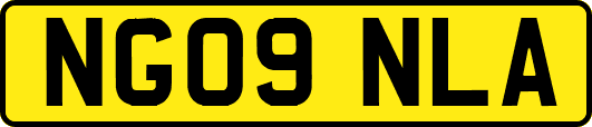 NG09NLA