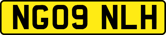 NG09NLH