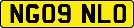 NG09NLO