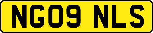 NG09NLS