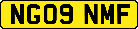 NG09NMF