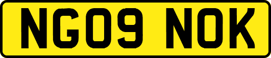 NG09NOK