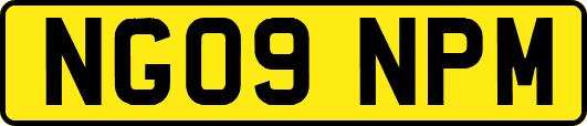 NG09NPM