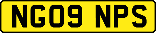NG09NPS