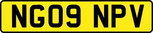 NG09NPV