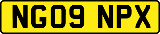 NG09NPX