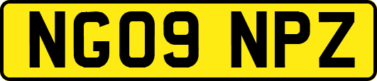 NG09NPZ