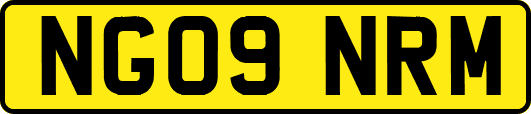 NG09NRM