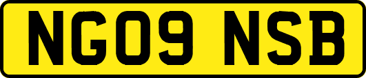 NG09NSB