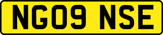NG09NSE